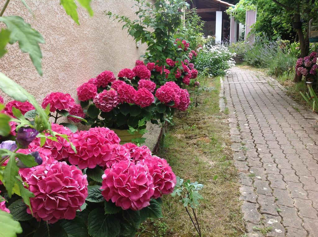 Bed & Breakfast Le Beausejour Carcassonne Eksteriør bilde