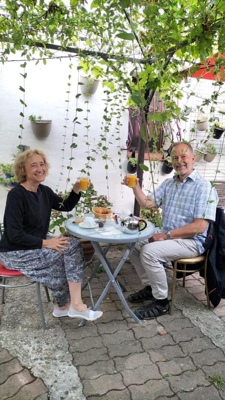 Bed & Breakfast Le Beausejour Carcassonne Eksteriør bilde
