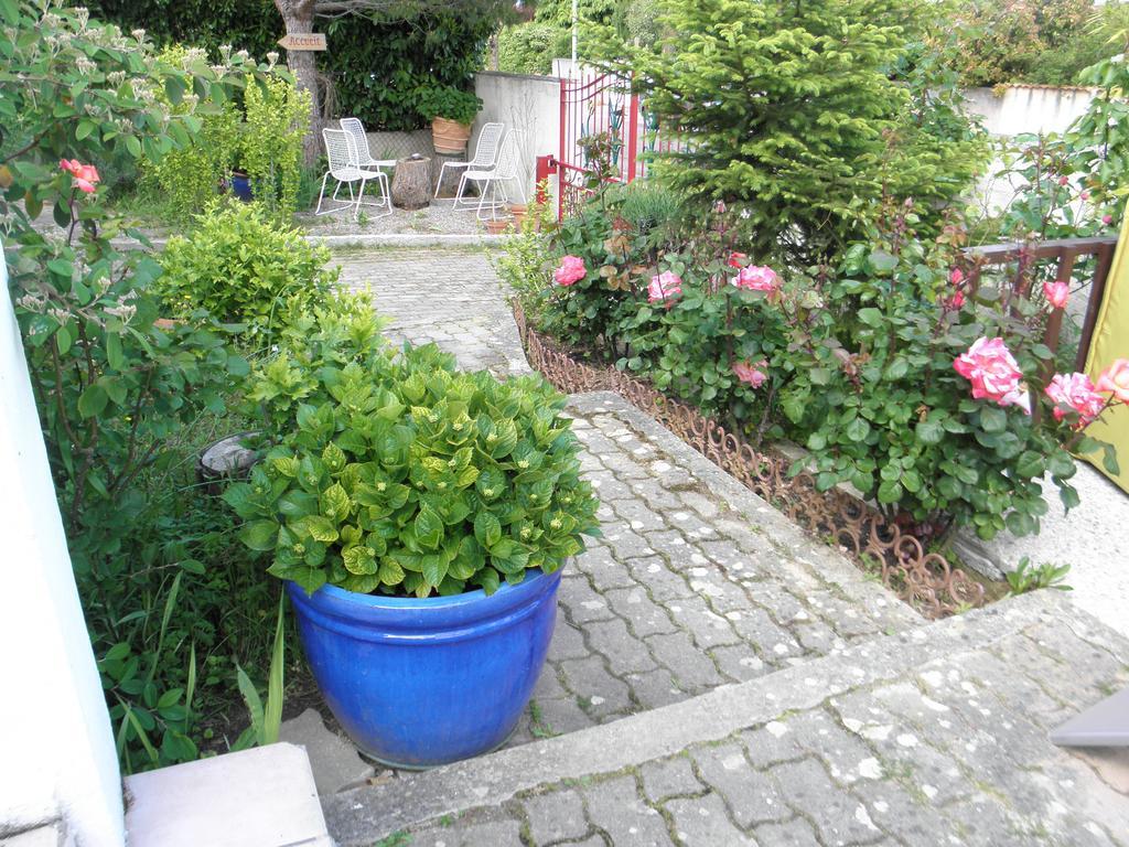 Bed & Breakfast Le Beausejour Carcassonne Eksteriør bilde